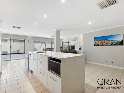 51 Jackadder Avenue, Hammond Park