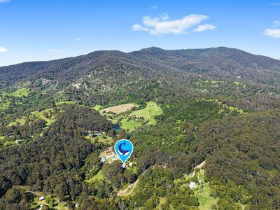 490 Punkalla Tilba Rd, Central Tilba