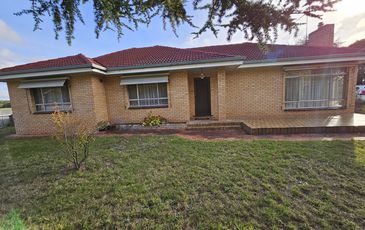 17524 Riddoch Highway, Nangwarry