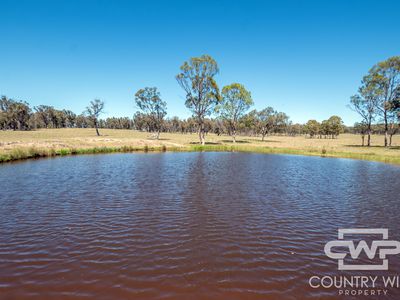 954 Bullock Mountain Road, Glen Innes