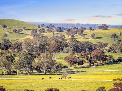 552 Upton Rd, Avenel