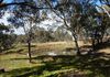 42 McGroder Street, Molong