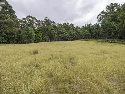 Lot 2, Fyfes Road, Mountain River