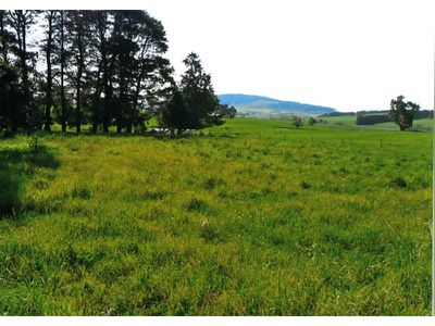 668 Barry Road, Neville