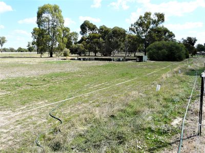 88 Honniball Drive, Tocumwal