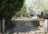 * Boomey Stud Homestead - Euchareena Road, Molong