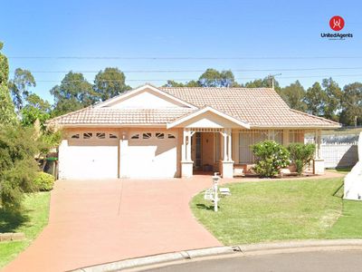 20 Harewood Place, Cecil Hills