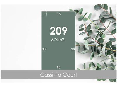 Lot 209, Cassinia Court, Campbells Creek