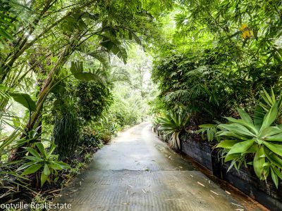 31 Kirbys Rd, Palmwoods