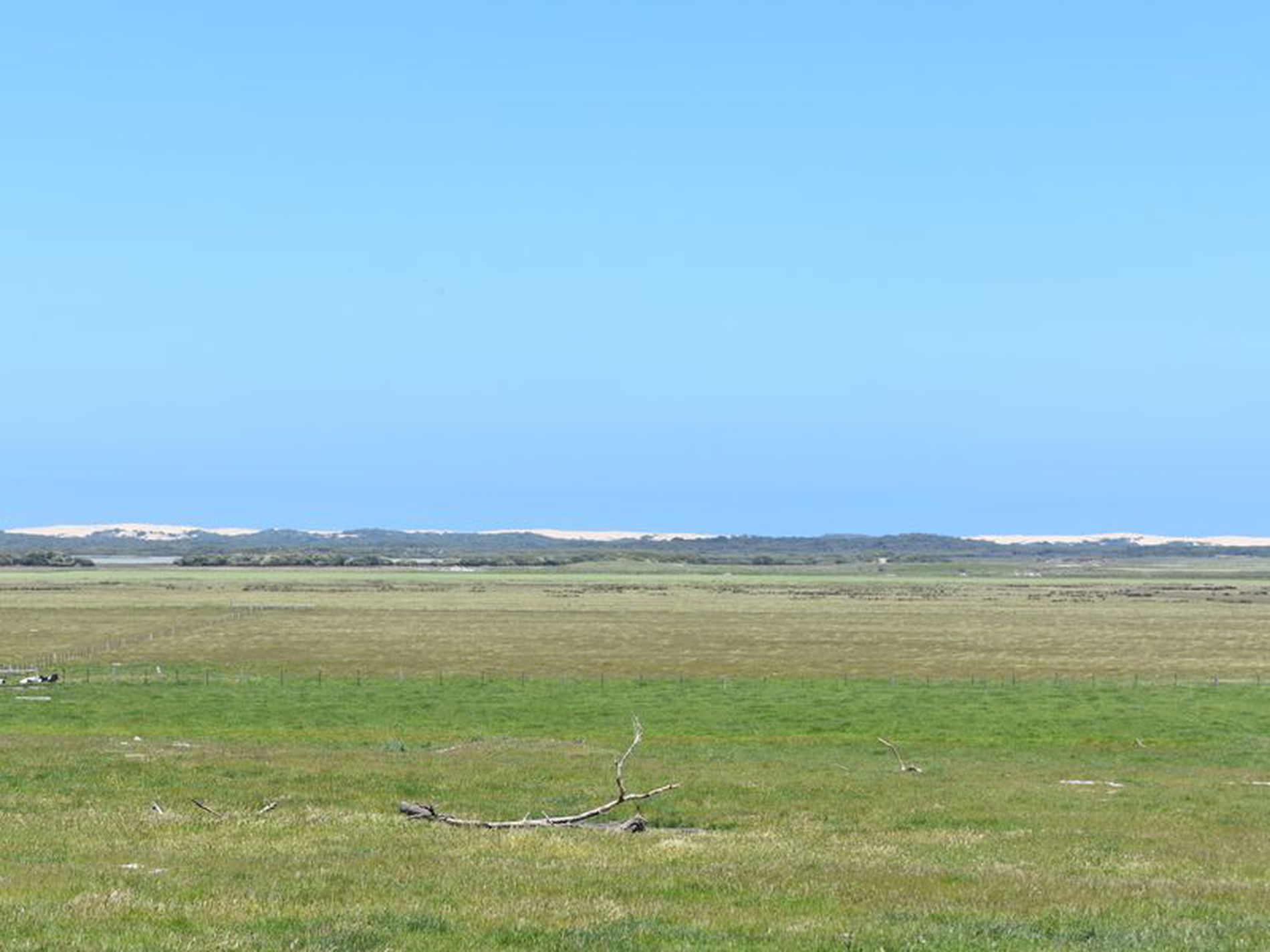 1404 Canunda Frontage Road, Millicent