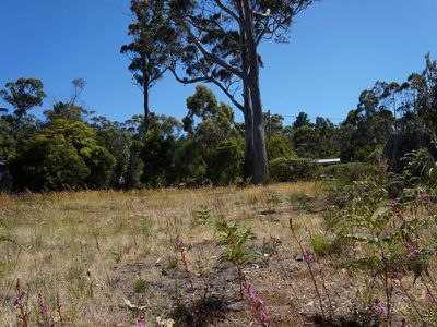 39 Vincent Avenue, Verona Sands