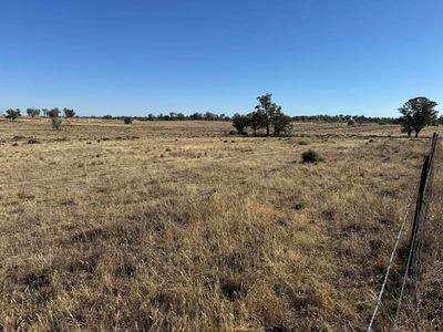 117 Hillside Lane, Parkes
