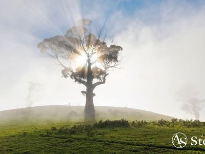 260 & 310 Mt William Road, Goldie
