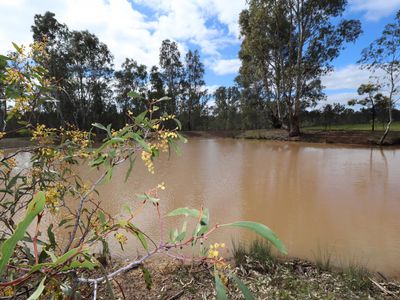 Lot 2 Davis Road, Mount Camel