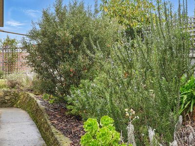 7398A Channel Highway, Cygnet