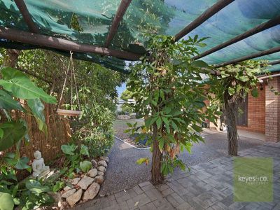 4 Serrano Crescent, Cranbrook