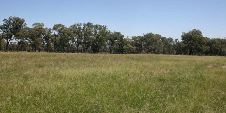 11 Dunns Lane, Euroa