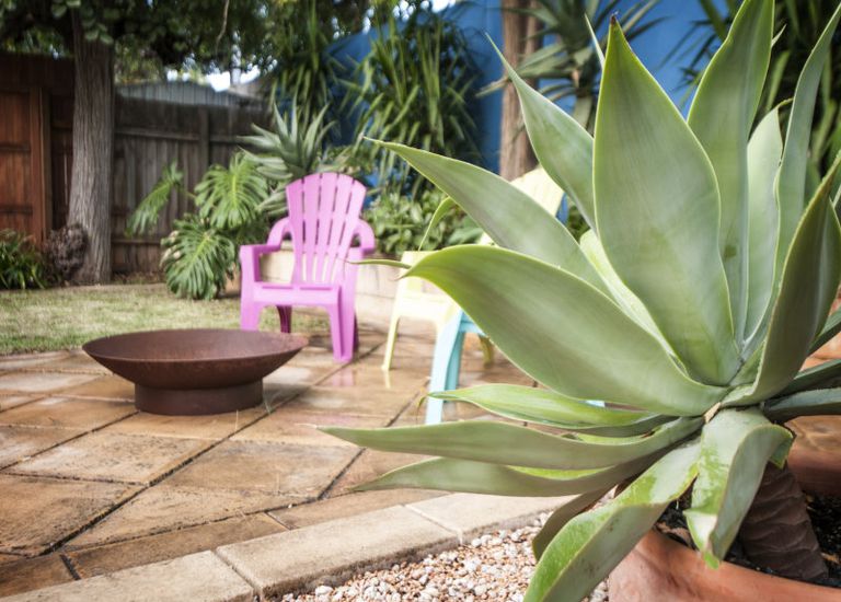 1 / 195 Portrush Road, Maylands