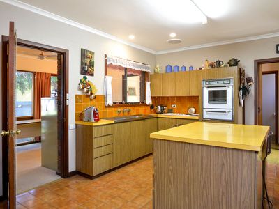 64 Addis Street, Lamington