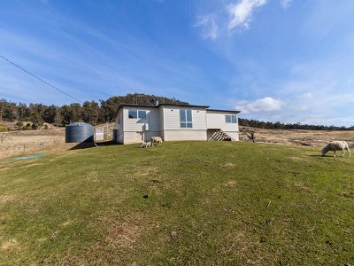 787 Rhyndaston Road, Rhyndaston