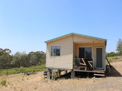 Fitzgeralds Mount
