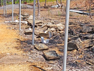 999 Burkes Flat - McIntyre Road, Mcintyre