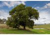 183 Sullivans Road, Manildra