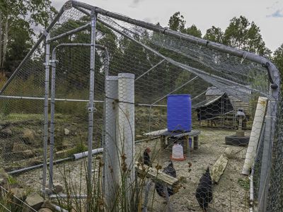 170 Russell Road, Lonnavale