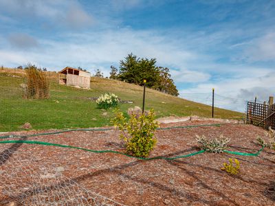 264 Judds Creek Road , Judbury