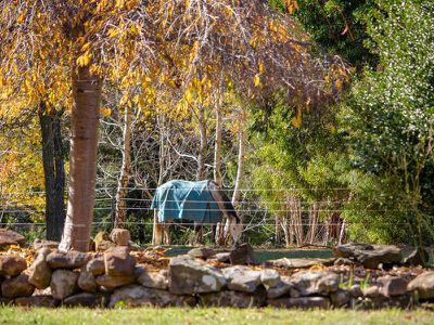 1085 Tabletop Road, Tolmie