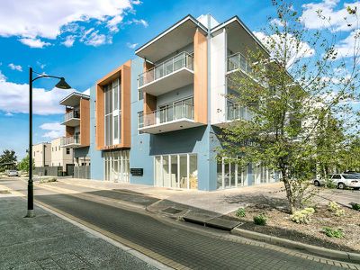 12 / 103 Elder Drive , Mawson Lakes