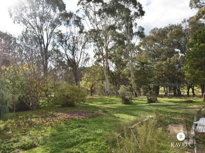 133 Havelock Road, Beechworth