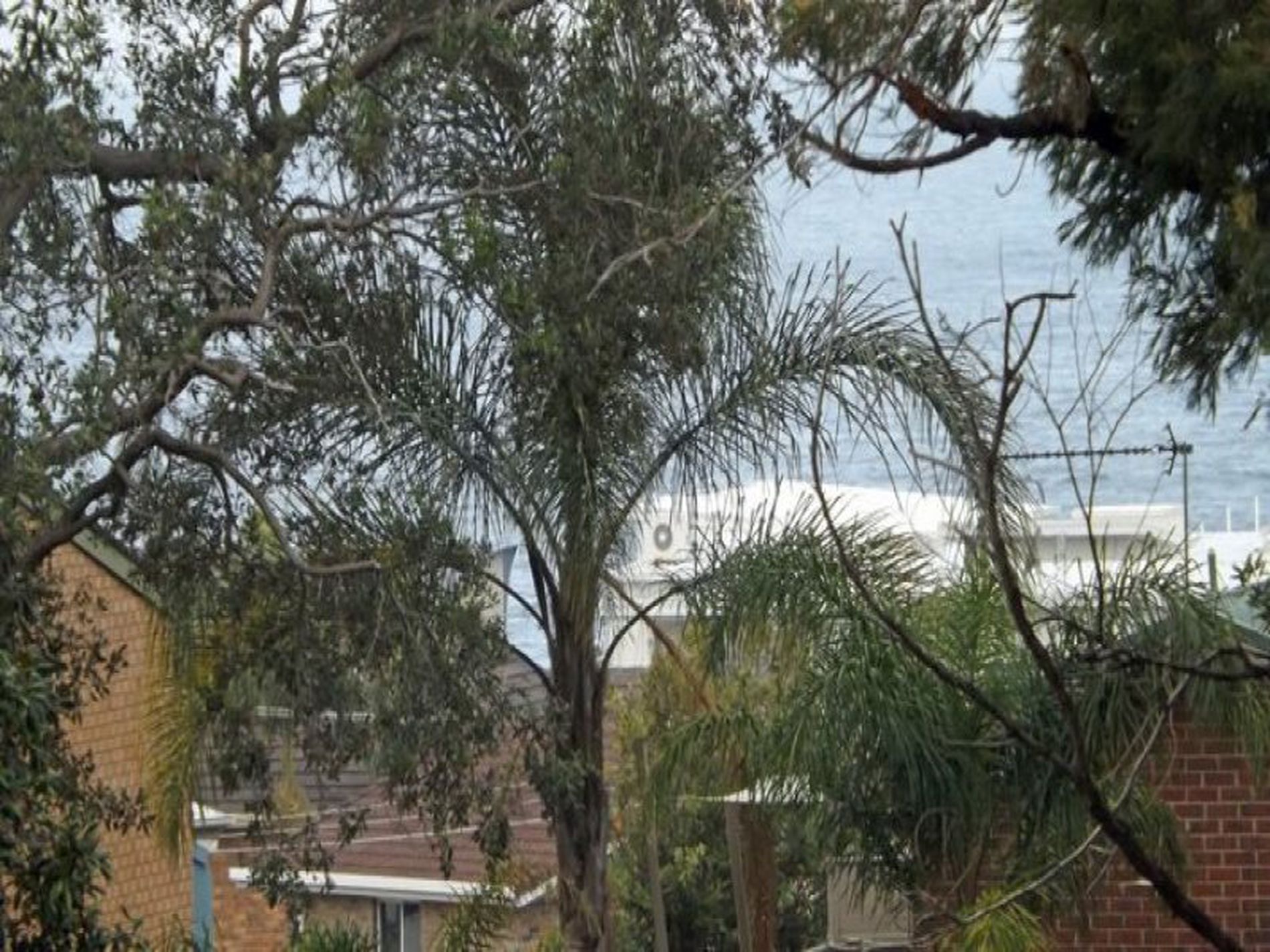 7 Davies Street, Mollymook