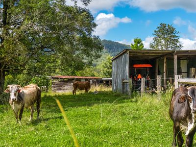 219 Stony Chute Road, Nimbin
