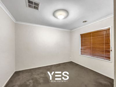 49 Springleaf Avenue, Clyde North