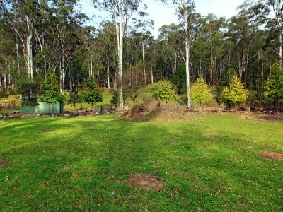 230 Allans Road, Kangaroo Valley