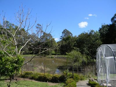 Maleny