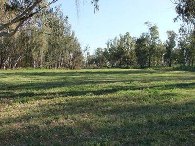 306 Orange Grove Road, Gunnedah
