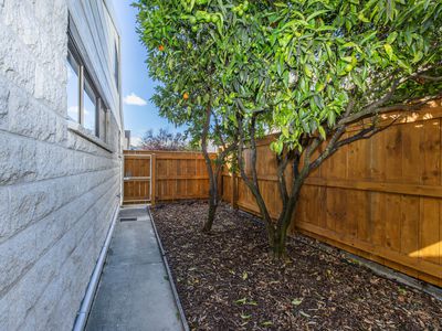 24C Tasman Street, The Wood