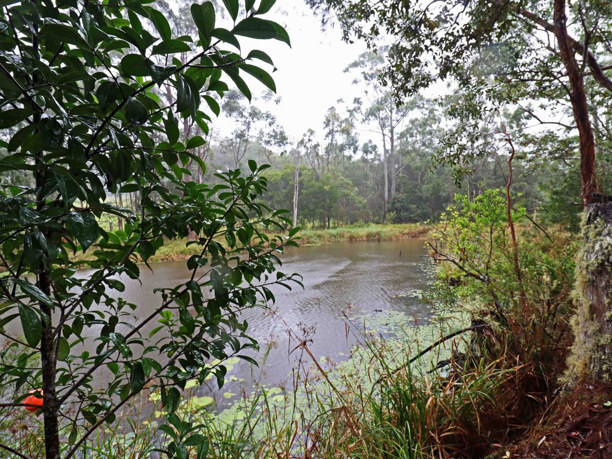 369 TULLY FALLS ROAD, Ravenshoe