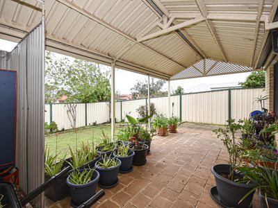 203 Wentworth Parade, Success