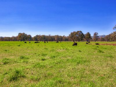 . Murray Valley Highway, Bonegilla
