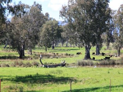 Kiewa Valley Highway, Kergunyah