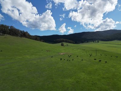 'Eastmore' 1177 Callaghan Creek Road, Mitta Mitta