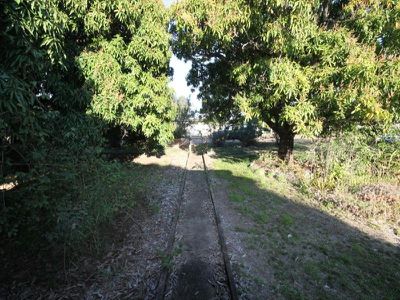 20 Felix Street, Grand Secret