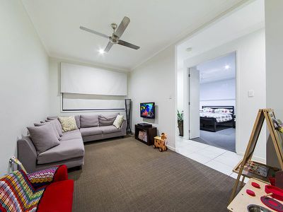 58 Higgs Cct, Wynnum West
