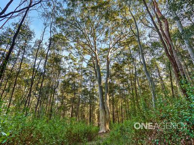 33A 33A Battunga Drive, Tomerong