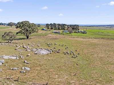 10233 Nerriga Road, Braidwood