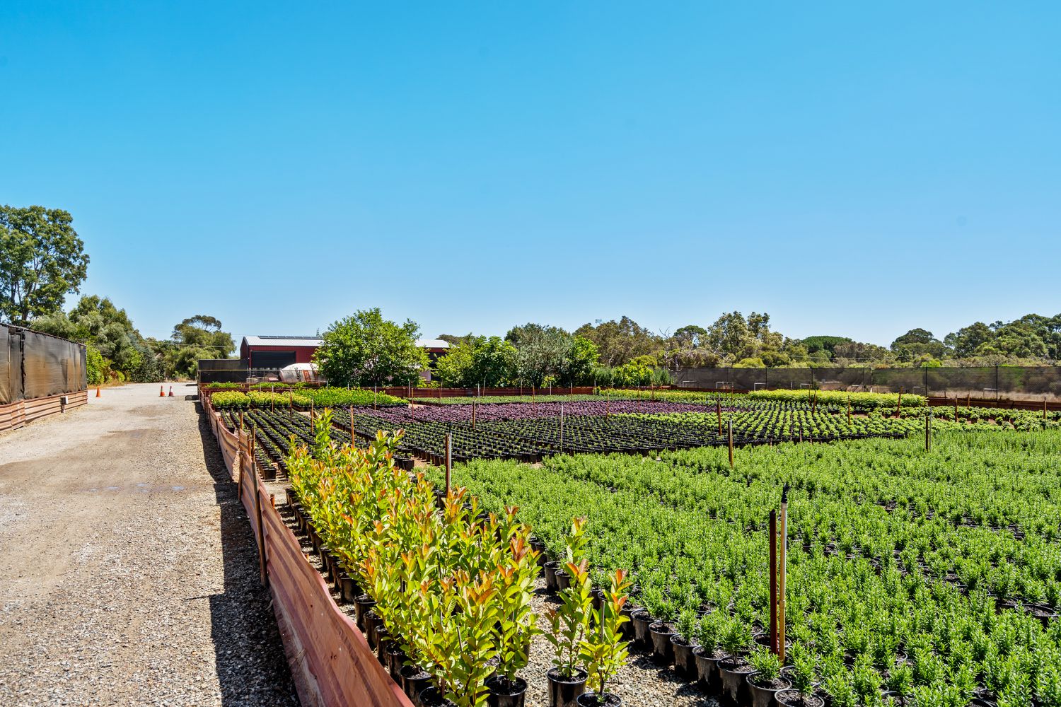 37 Landgren Road, Casuarina