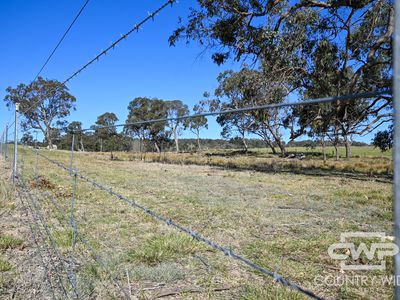 1651 Shannon Vale Road, Shannon Vale